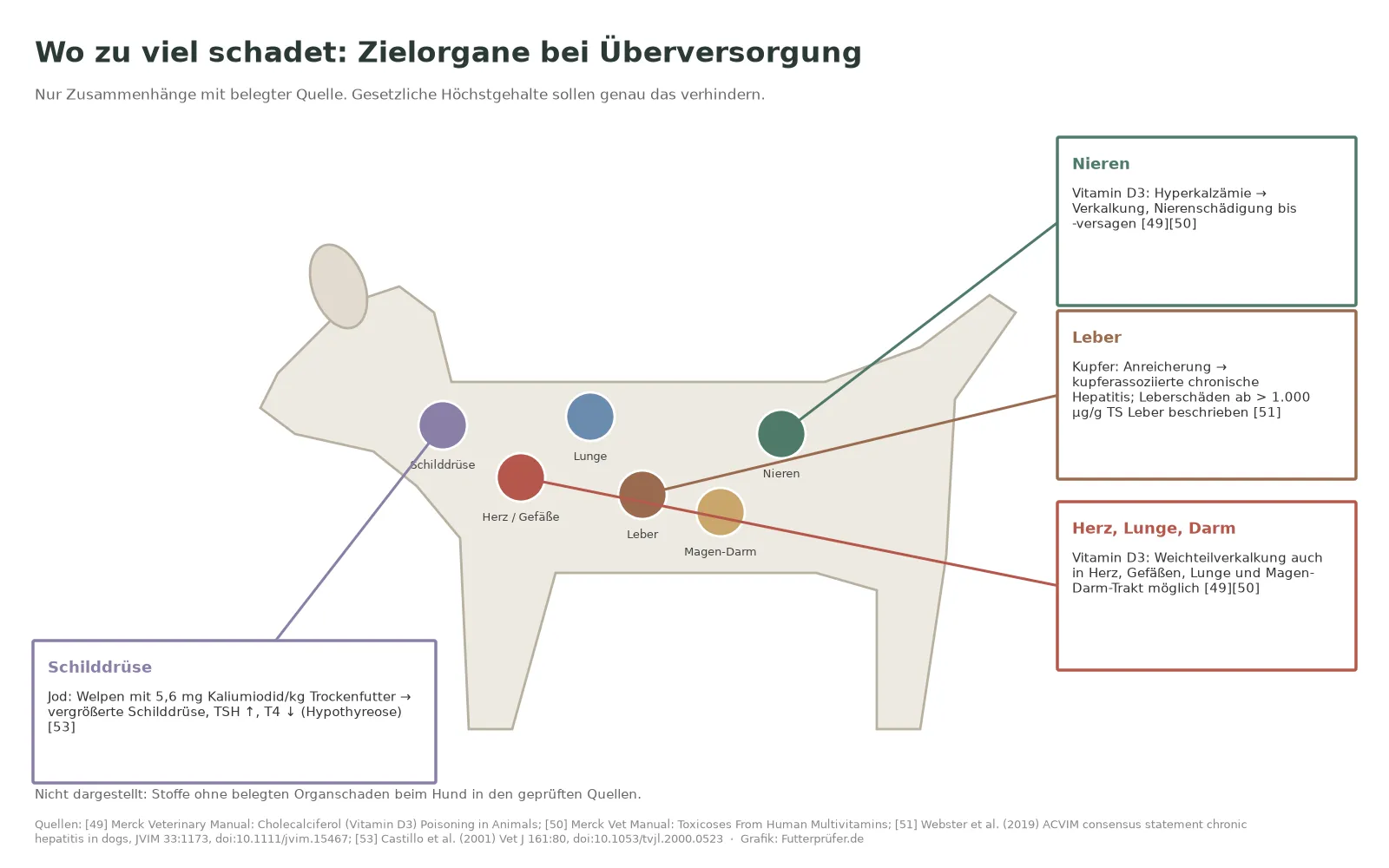 Hundesilhouette mit Zielorganen bei Überversorgung: Nieren und Weichgewebe (Vitamin D3), Leber (Kupfer), Schilddrüse (Jod)