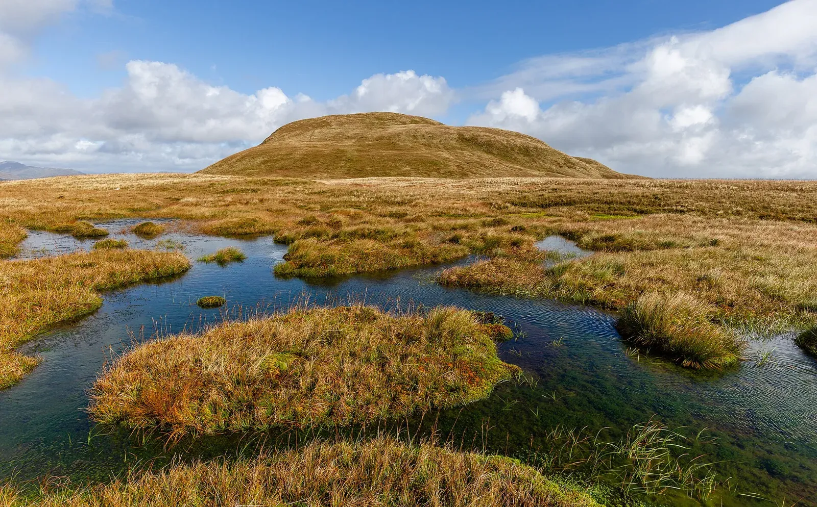 Symbolbild: Naturnahes Moor mit Torfmoos-Bulten und offenen Wasserflächen
